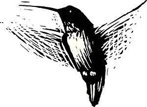 Hummingbird
