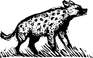 Hyena