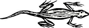 Lizard