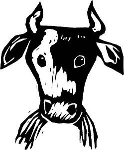 Moo-Cow