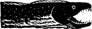Moray