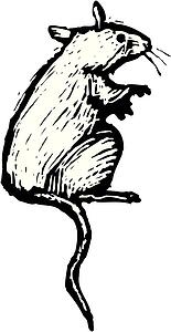 Mouse 3