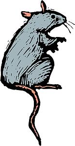 Mouse 3
