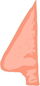 Nose