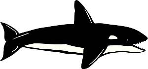 Orca