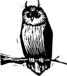 Owl 2
