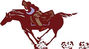 Pony Express
