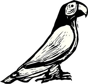 Parrot