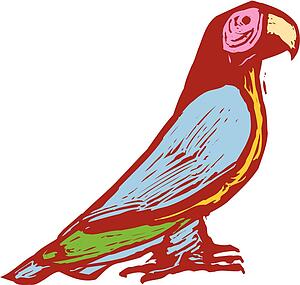 Parrot