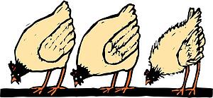 Pecking Order
