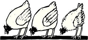 Pecking Order