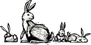 Rabbit Family