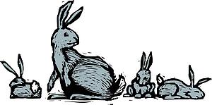 Rabbit Family