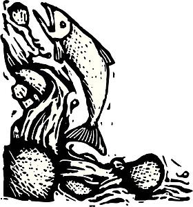 Salmon