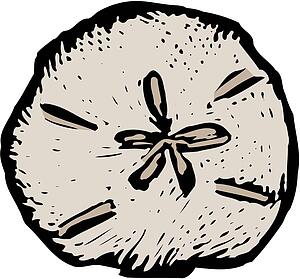 Sand Dollar