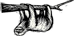 Sloth