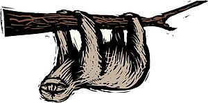 Sloth