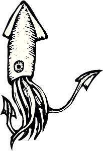 Squid