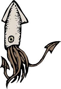Squid