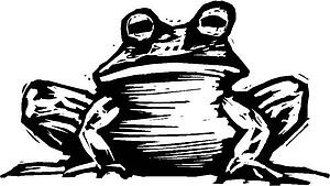 Toad