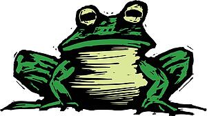 Toad