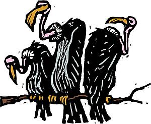 Vultures