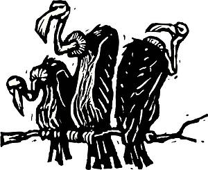 Vultures