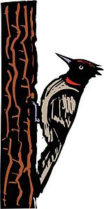 Woodpecker