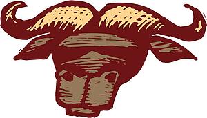 Water Buffalo