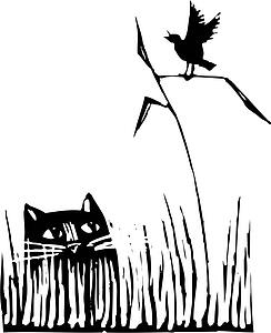 Cat 02