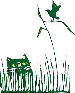 Cat 02