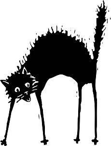 Cat 03