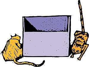 Cat 05