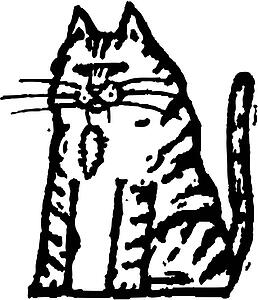Cat 07