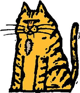 Cat 07