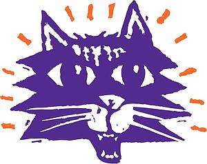 Cat 08
