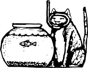 Cat 11