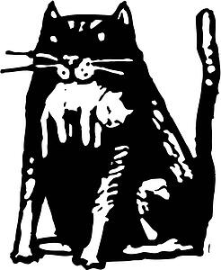 Cat 14