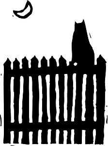 Cat 16
