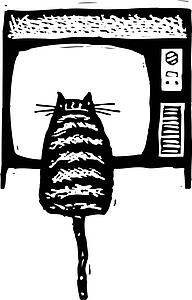 Cat 17