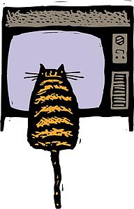 Cat 17