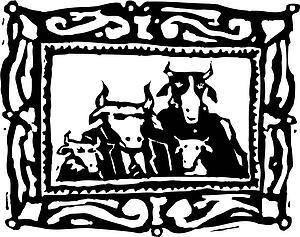 Cow 13