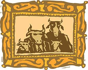 Cow 13