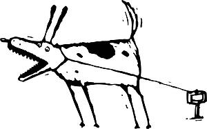 Dog 02