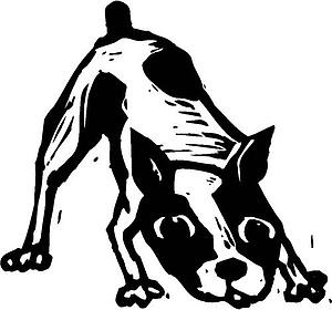 Dog 04