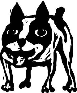 Dog 05