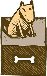 Dog 06