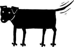 Dog 15