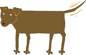 Dog 15