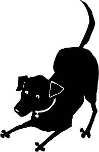 Dog 18